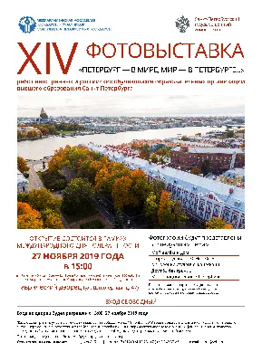 Иллюстрация 3 из 6 для Как скачать из интернета фильмы, книги, музыку,  журналы, компьютерные игры и программы | Лабиринт - книги. Источник: Савчук  Ирина