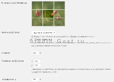 БЛОГ ДМИТРИЯ ЕВТИФЕЕВА | Как поставить WaterMark (водяной знак) на  фотографии