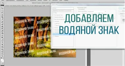 OTFM Watermark and Crop - CODESELLER - продажа цифровых товаров