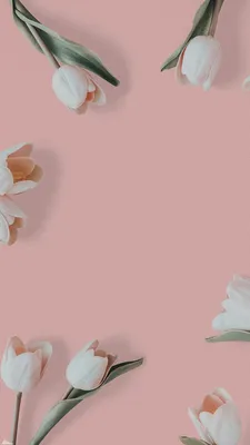 Крутые обои на телефон HD Wallpapers – скачать приложение для Android –  Каталог RuStore