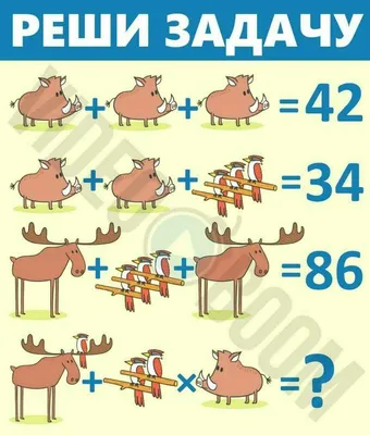 Вы любите решать логические задачи так, как любим делать это мы? 😝 На  картинке ниже нужно рассчитать стоимость.. | ВКонтакте
