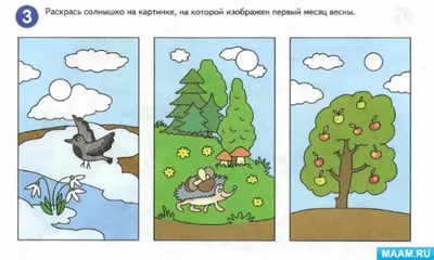 Логические задачи для дошкольников в картинках