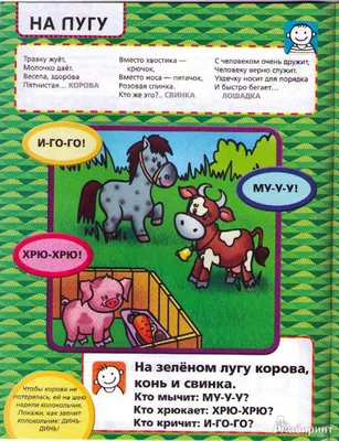 Книга Загадки в стихах и картинках - купить детской художественной  литературы в интернет-магазинах, цены на Мегамаркет |
