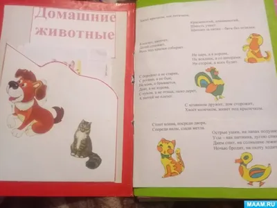 Знаменитые математические головоломки с ответами и решением от ЛогикЛайк: в  картинках и текстовые, для взрослых и детей