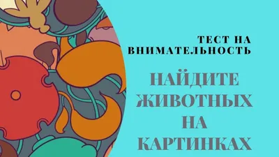 ЗАГАДКИ НА ПРОИЗВОЛЬНОЕ ВНИМАНИЕ, ч4 | Василя Синицына