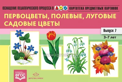 Загадки обо всем на свете. За городом - Издательство «Планета»