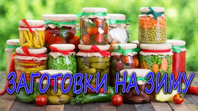 Заготовки на зиму: есть ли в них польза? | Еда и кулинария | ШколаЖизни.ру