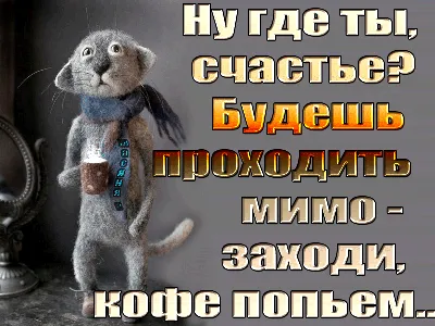 заходи на кофе шуточные｜Búsqueda de TikTok