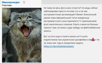 реалфаны, решение проблемы realme 8, нам нужна ваша помощь! - Сообщество  realme