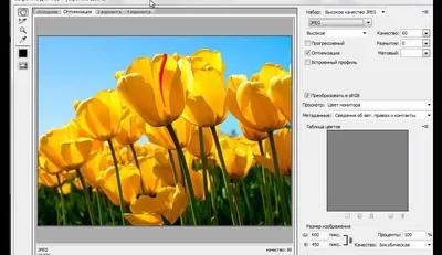 Как загружать фотографии на сайт - YouTube