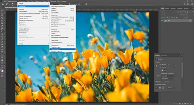 Как изменить цвет объекта в Adobe Photoshop – База знаний Timeweb Community