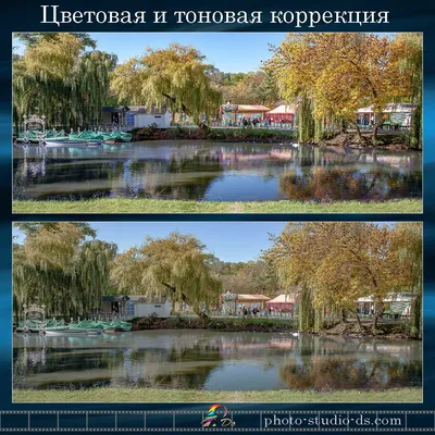 Теория цвета в фотографии: тренды и примеры 20.04.2022 | DGL.RU - Цифровой  мир: новости, тесты, обзоры телефонов, планшетов, ноутбуков