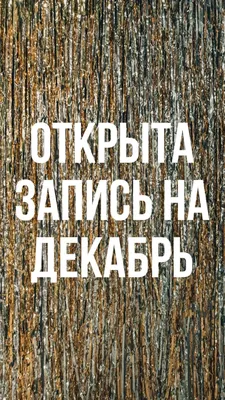 Запись на декабрь | Зимние сцены, Декабрь, Бумажный цветок