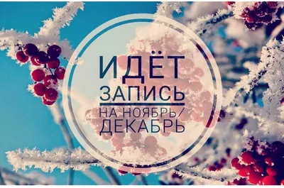 Оксана on X: \"💥 Дорогие девочки! Запись на декабрь ОТКРЫТА! 💗 Дорогие  девочки! Все хотят к 🎄 Новому году самые свежие реснички, но физически  принять всех вас за неделю до нового года