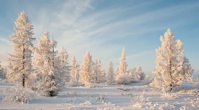 Картинки открыта запись (9 фото) - 9 фото