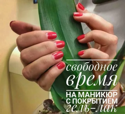 Запись на май/готовые сторис/сторис идея | Instagram photo, Photo and  video, Instagram