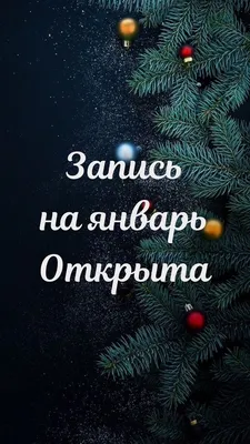 Режим работы Вятского и Котельничского музеев в Новогодние праздники -  Вятский палеонтологический музей