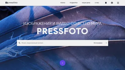 Заработок в Инстаграме — ТОП-18 способов получить реальные деньги - Блог об  email и интернет-маркетинге