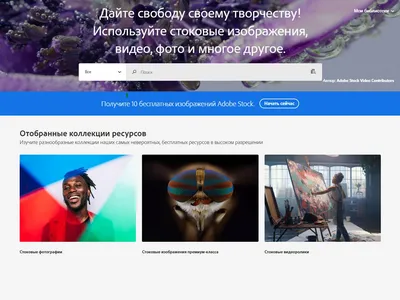 Курс по работе с фотостоками. Фотобанки | Photostudy.me - микростоки,  фотобанки, заработок на фотостоках | Фото Стади