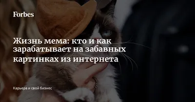 На каких темах в интернете новичкам точно не заработать | Признаки  лохотрона Navika.Pro | Обучающий портал для предпринимателей и маркетологов