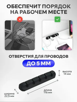 Как правильно делать зарядку по утрам: комплекс упражнений на каждый день