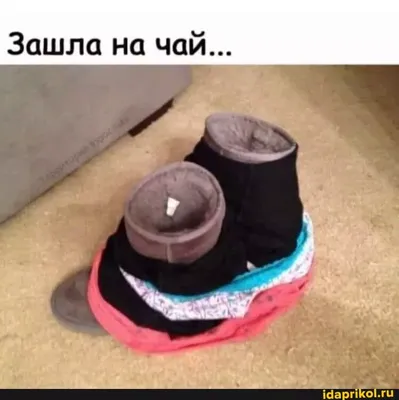 Зашла на чай... - ) / АйДаПрикол .) | Смешно, Веселые картинки, Фотография  юмор