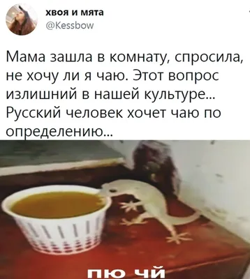 Купить эфиопский кофе Эфиопия Иргачеффе в Москве с доставкой | Заказать  кофе из Эфиопии в Москве в интернет магазине Torrefacto