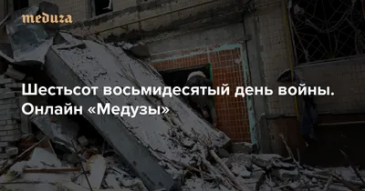 Альпака милашка зашла в кафе попить…» — создано в Шедевруме
