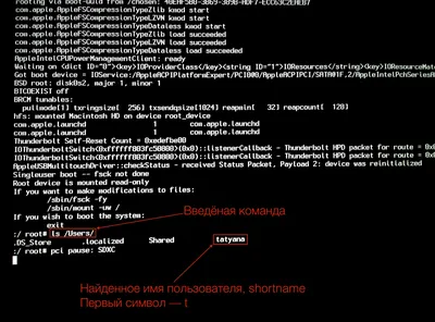 Загрузка компьютера останавливается на логотипе Windows. Как это исправить  — Альфа Мастер