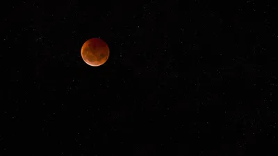 Затмение обои для рабочего стола, картинки Затмение, фотографии Затмение,  фото Затмение скачать бесплатно | FreeOboi.Ru