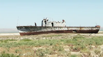 Завтра в Кандалакше состоится праздник «Ромашковое море» | 08.07.2023 |  Мурманск - БезФормата