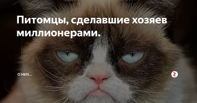 КАК ВСТАТЬ В СТРОЙ ПОСЛЕ ДОЛГИХ ПРАЗДНИКОВ ИЛИ ОТПУСКА | Школа системного  менеджмента | Дзен
