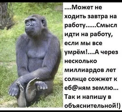 Первый рабочий день после отпуска - прикольные картинки - snaply.ru