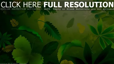 Фон рабочего стола где видно hd full 1920х1080 зеленая аллея природа
