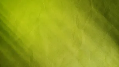 Обои на рабочий стол Ярко-зеленая трава на поле, через которое идет колея  от проехавшей машины, вдали виден смешанный лес, обои для рабочего стола,  скачать обои, обои бесплатно