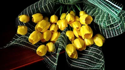 Обои с цветами. Скачать бесплатно на 1366х768.ру