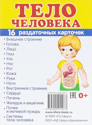 russian по низкой цене! russian с фотографиями, картинки на коровы рубцы  фотографии.alibaba.com