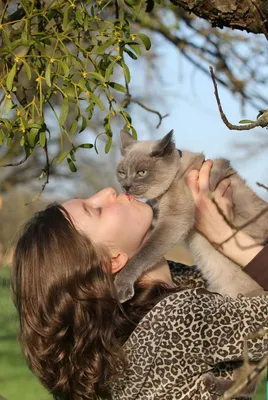 Маска кошки,шикарная маска игривой кошечки.бдсм - 225 грн, купить на ИЗИ  (40043824)