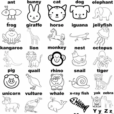Картинки на английском - ДИКИЕ ЖИВОТНЫЕ - WILD ANIMALS | EnglishFish