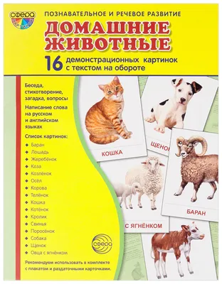 Плакат обучающий \"Английский алфавит - Животные\", А3 (30х42 см), 1 шт,  Печатник - купить с доставкой по выгодным ценам в интернет-магазине OZON  (241707325)