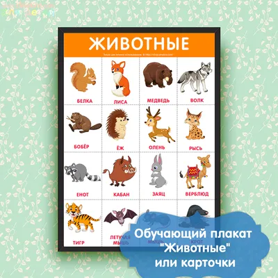 Лесные животные на АНГЛИЙСКОМ для детей УЧИМ английский Развивающие  мультики для малышей - YouTube