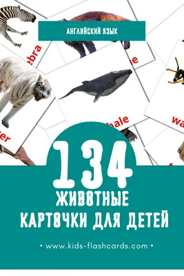 Обучающая доска английский алфавит животные A3 - Vroda