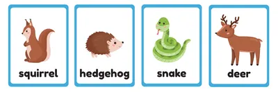 Учим английский. Дикие животные. Wild animals. Учим название диких животных  на английском. Часть 2. - YouTube