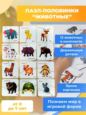 Животные на английском. Дикие Животные. Часть 3 - YouTube