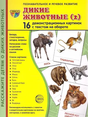 Usborne 1000 животных китайский/английский изучение слов доска с картинками,  для детей, для мальчиков и девочек Подарки книги раннее образование |  AliExpress