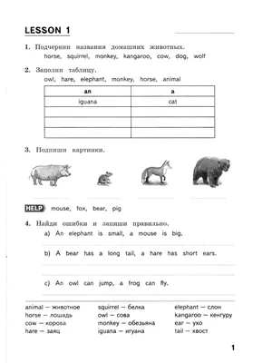 21 Бесплатная Карточка Животные африки на Английском | PDF
