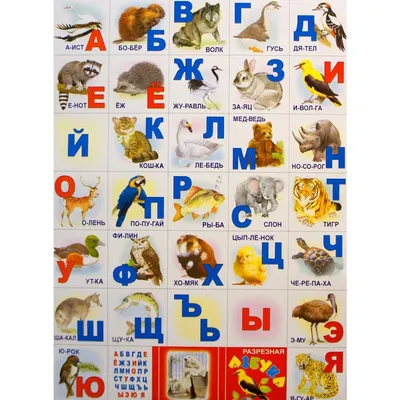 Альпака — Википедия