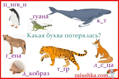 Картинки с животными на букву И