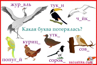 Следы животных в лесу - карточки Монтессори купить и скачать