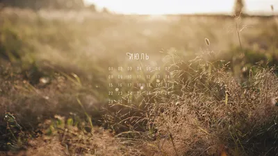 The Noisetier - WALLPAPERS